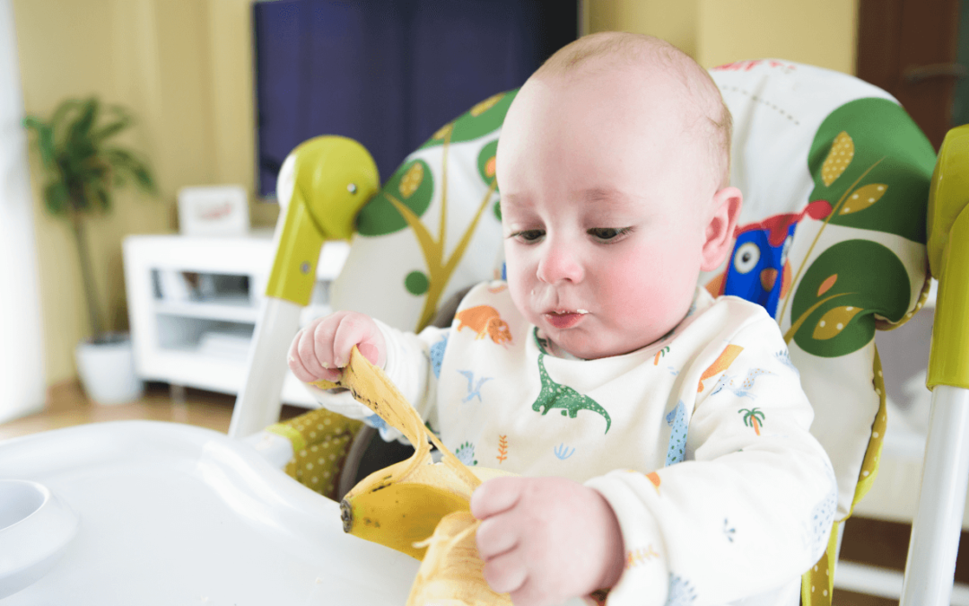 Nutrición Infantil: BLW y Alimentación Complementaria en Valencia